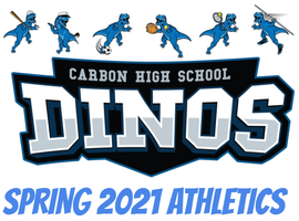 IMPORTANT MESSAGE FOR THOSE INTERESTED IN CHS SPRING SPORTS